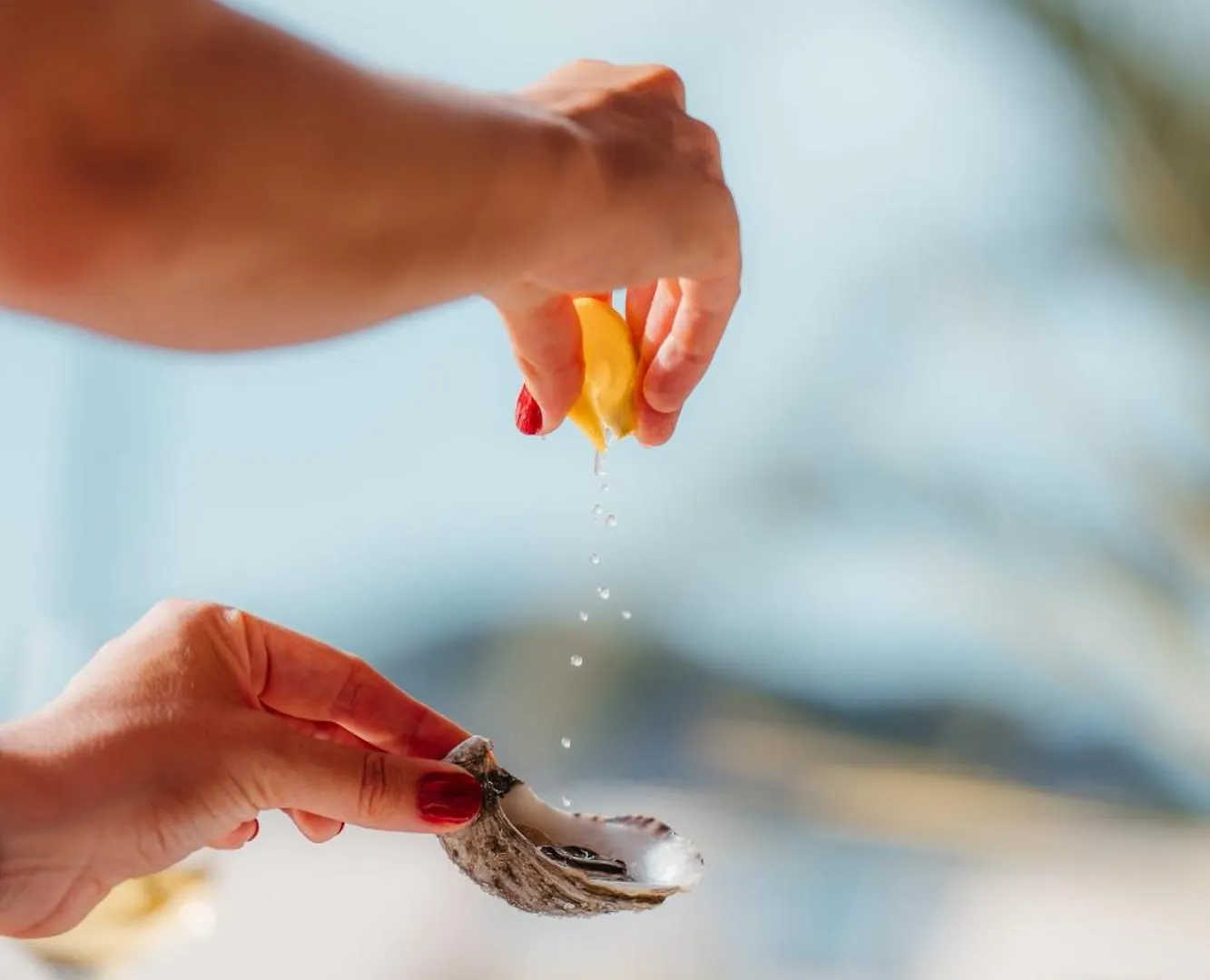 Hotel Cala San Miguel Ibiza Resort, Adults Only, Curio Collection By Hilton Port de Sant Miguel